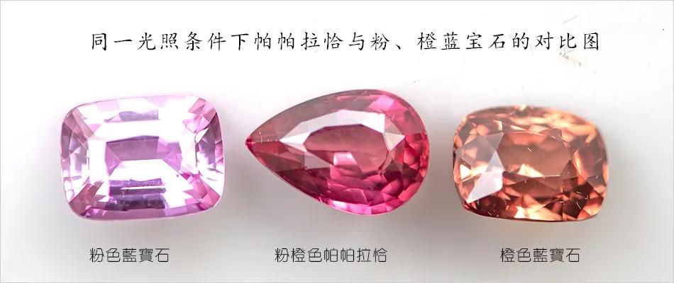 帕帕拉恰介绍,正统帕帕拉恰