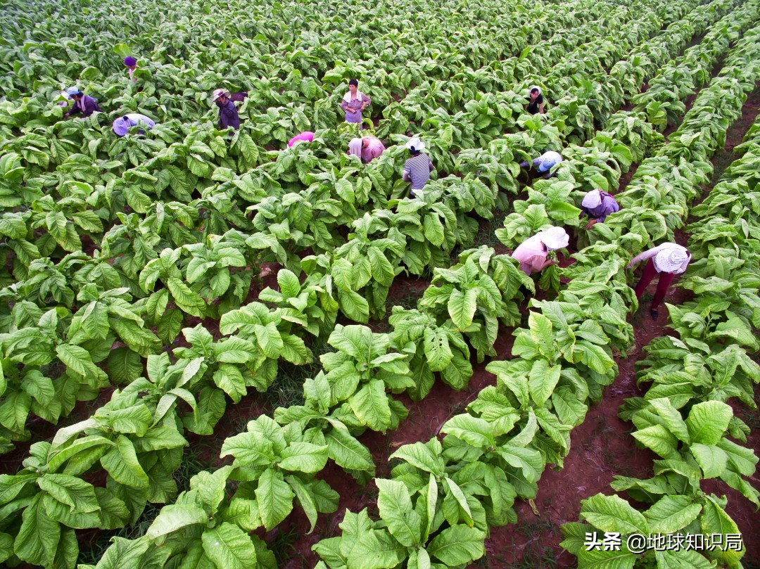 閾佽矾鑱屽伐濡備綍鏀瑰彉鍛借繍,閾佽矾涓ゆ梺鎬庝箞鏀瑰彉椋庢按