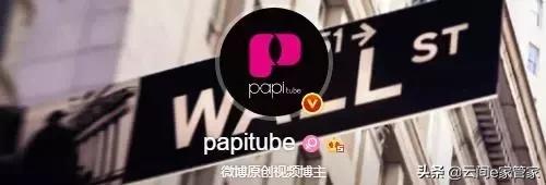 没想到这些大号他们“制造”出来的,这些大号你关注了哪些呢?