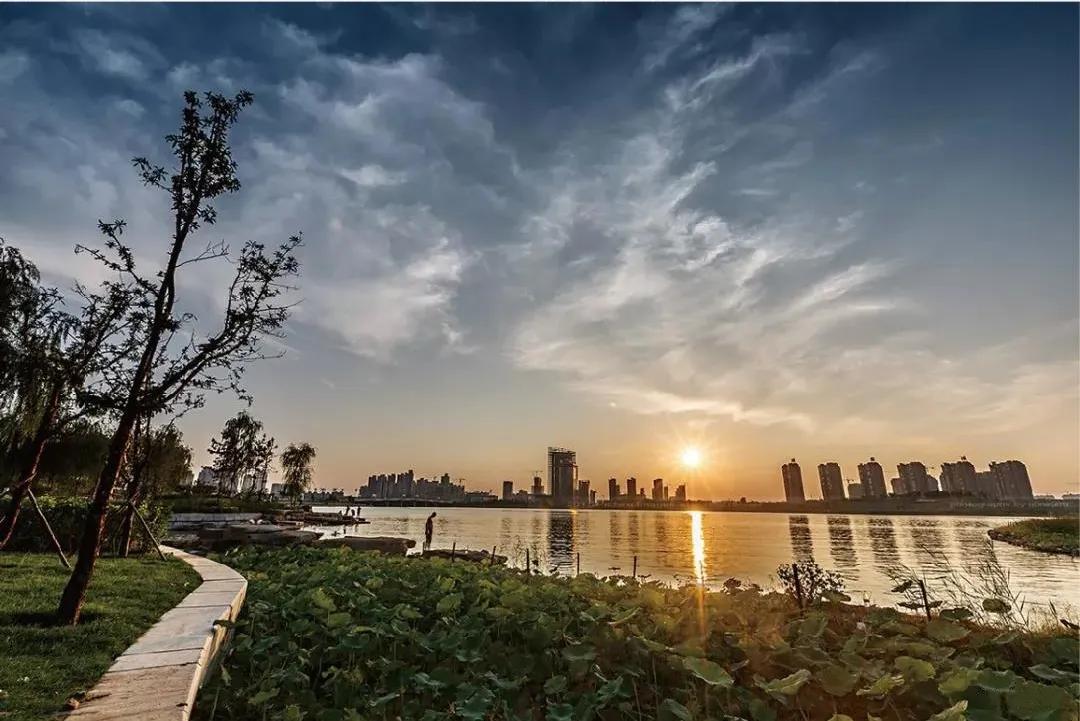 内参的买房观,开封买房的真实经历