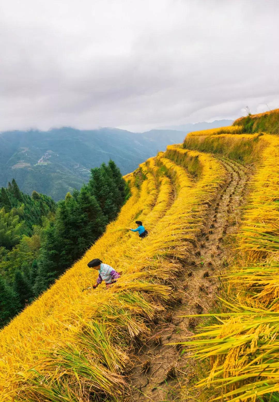 这辈子没看过这里，上帝都会觉得可惜！随手拍都是一幅画