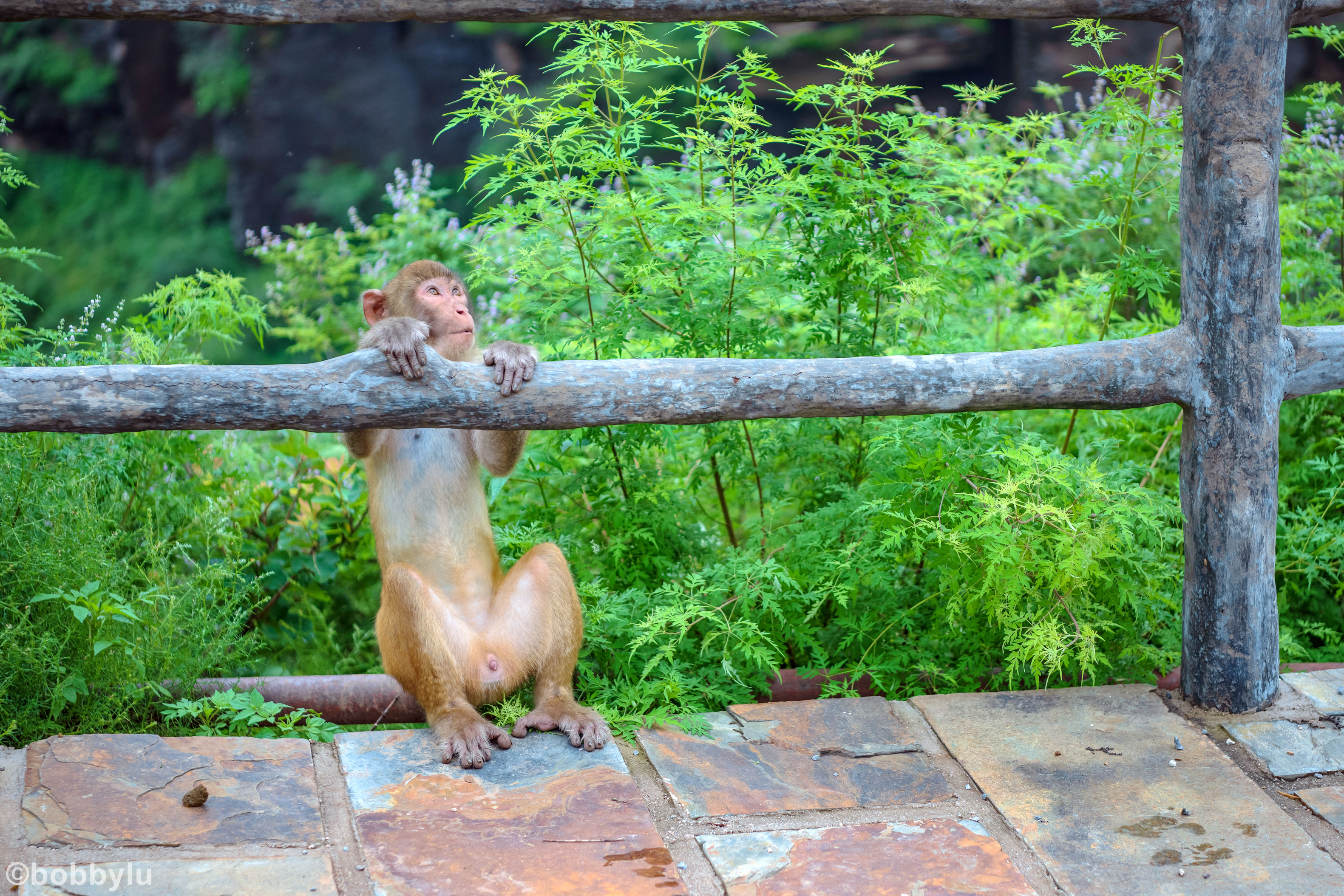 隐藏在深山里的网红景点,隐藏深山古村堪称世外桃源