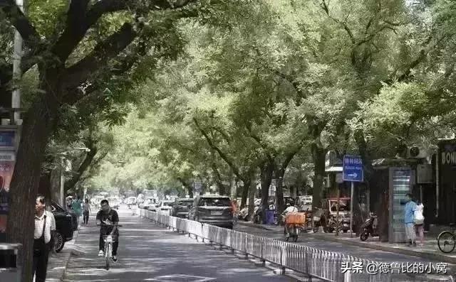 揭秘北京城究竟有过多少条胡同,北京哪条街值得一逛