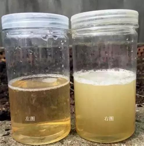 澳洲蜂蜜骗局,进口蜂蜜掺假