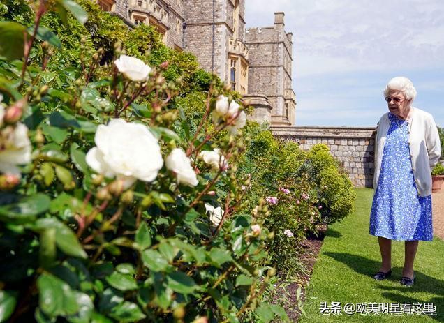 英国女王食谱公开,英国王室每日食谱