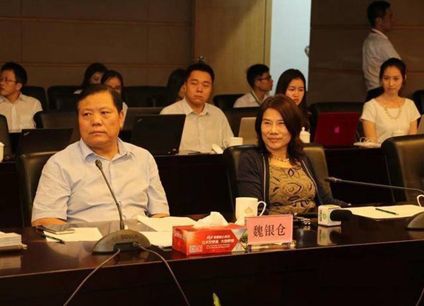 董明珠投资银隆失败会愧疚吗,董明珠银隆集团现状