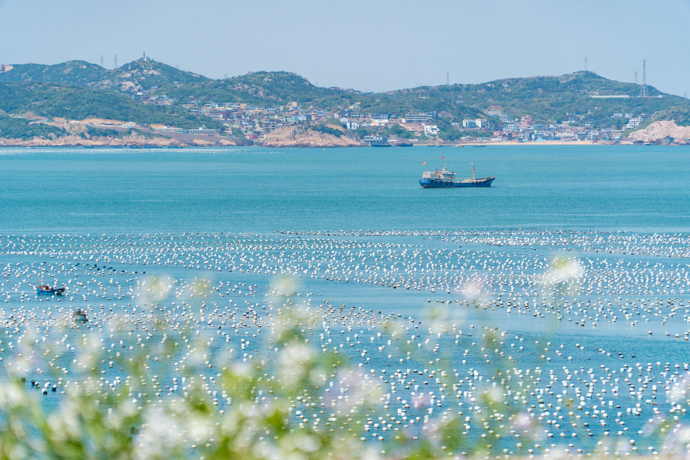 嵊泗游玩攻略本地人推荐,嵊泗旅游攻略自由行攻略