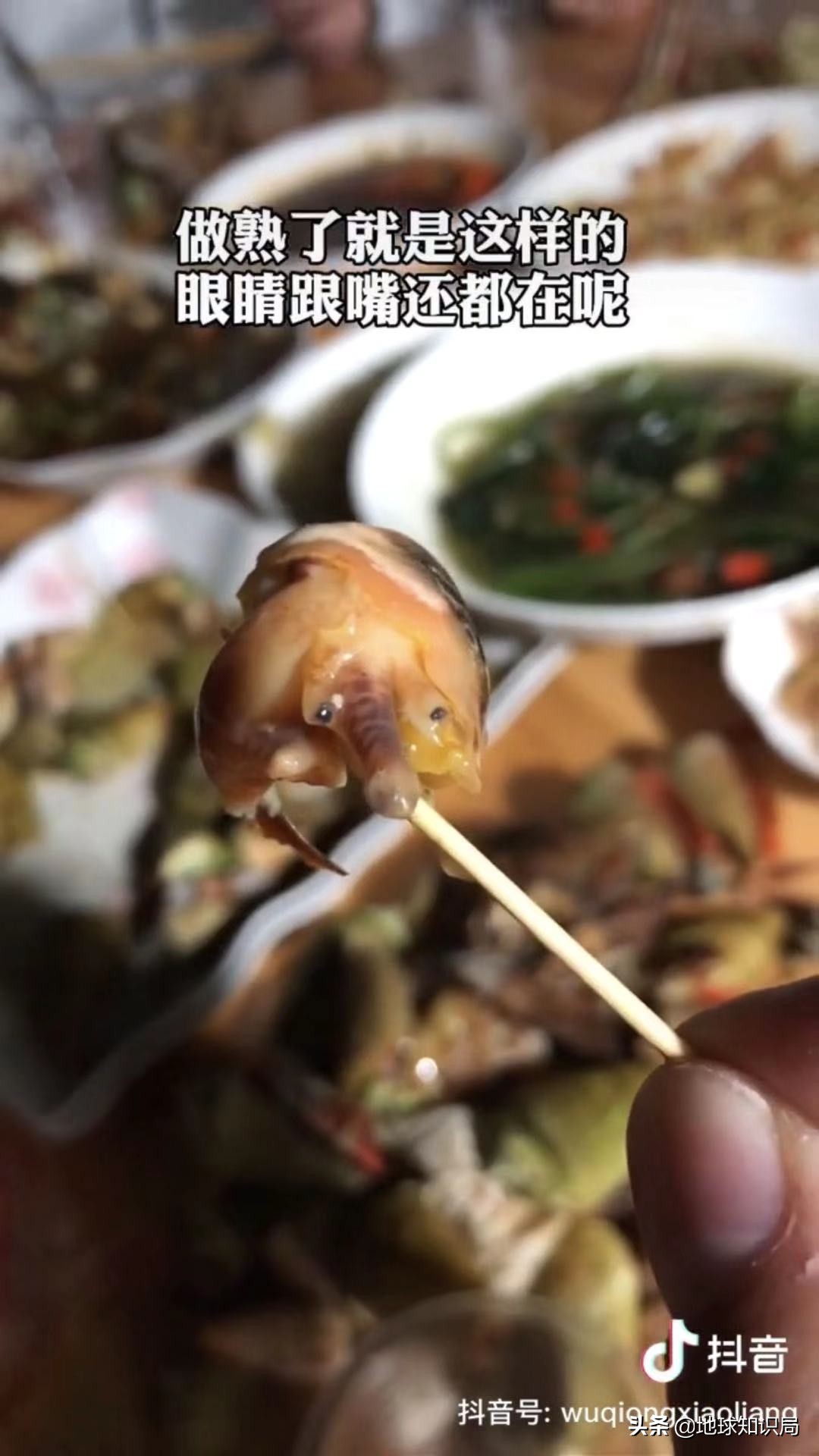 全球旅行攻略干货,全球旅行不为人知的秘密