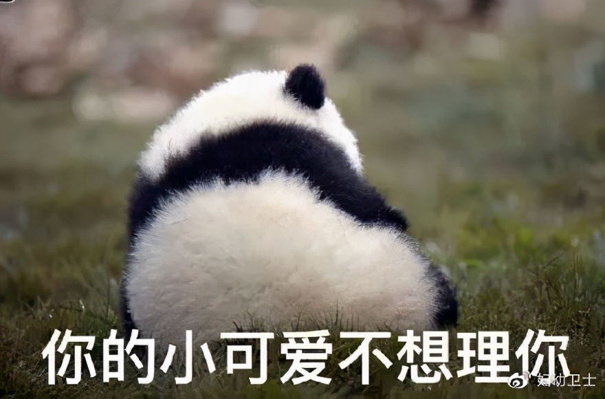 支原体感染怀孕还能治疗么,怀孕了感染了支原体感染能治疗吗