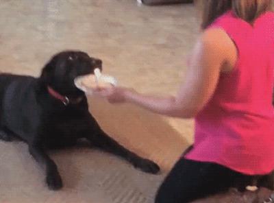 谁这么缺德原版,谁这么缺德原版视频