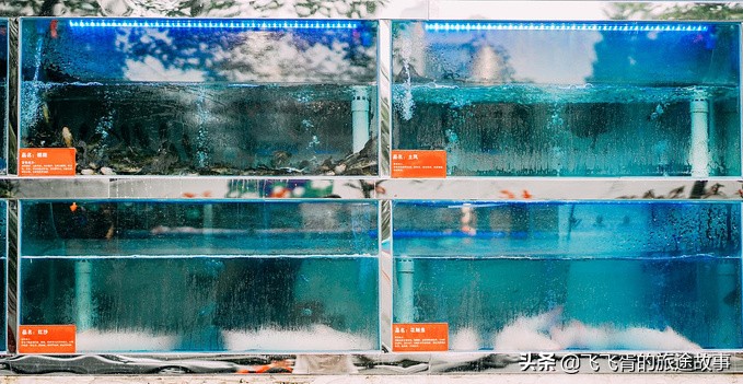 一分钟带你吃遍成都网红美食,成都必吃十大网红餐厅