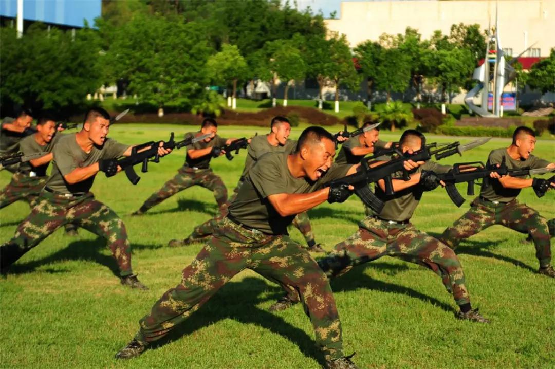 美照来袭视频素材,100幅青春美图