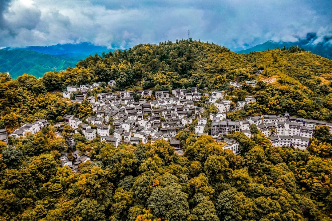 这才是中国最美的乡村,最值得去的鲜花小镇