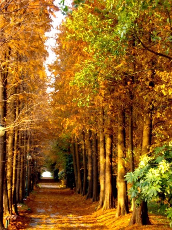 上海厉害了,厉害了上海