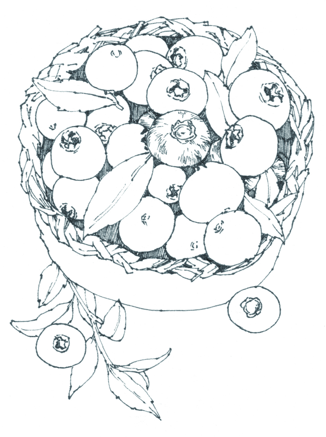 蓝莓味的章鱼小丸子,草莓章鱼小丸子口味