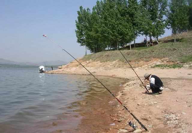 钓鱼提竿刺鱼和溜鱼技巧,钓到大鱼怎样正确提竿溜鱼