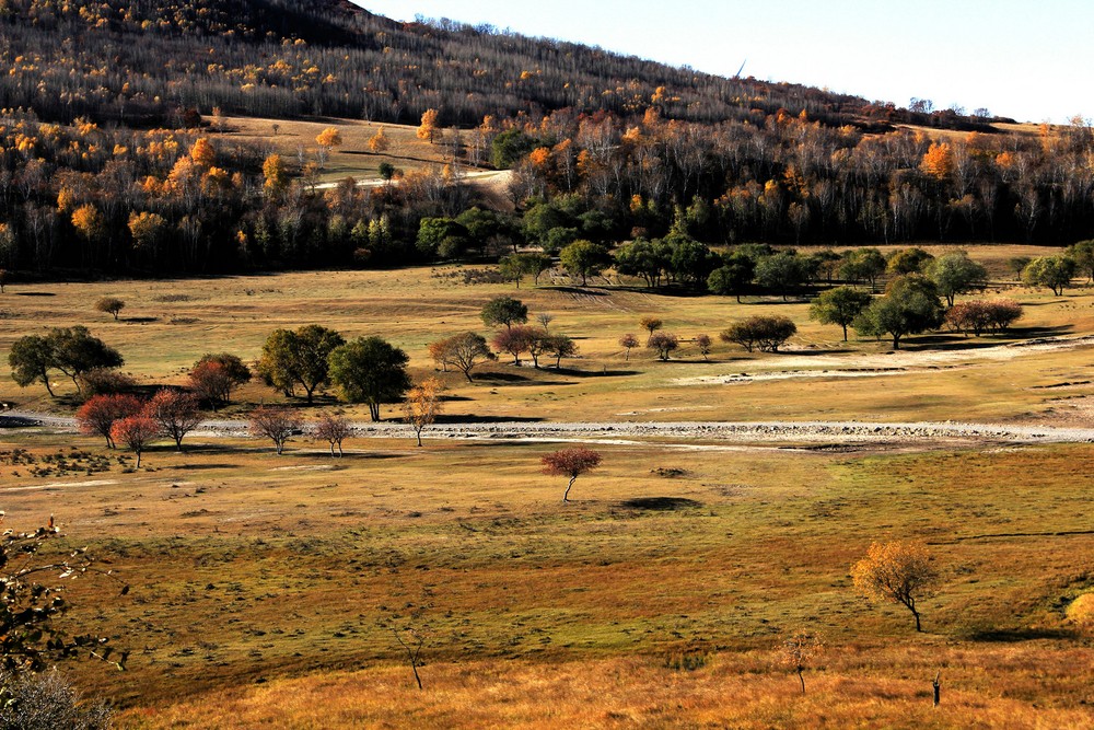 坝上三大景点,坝上草原是丰宁还是围场的