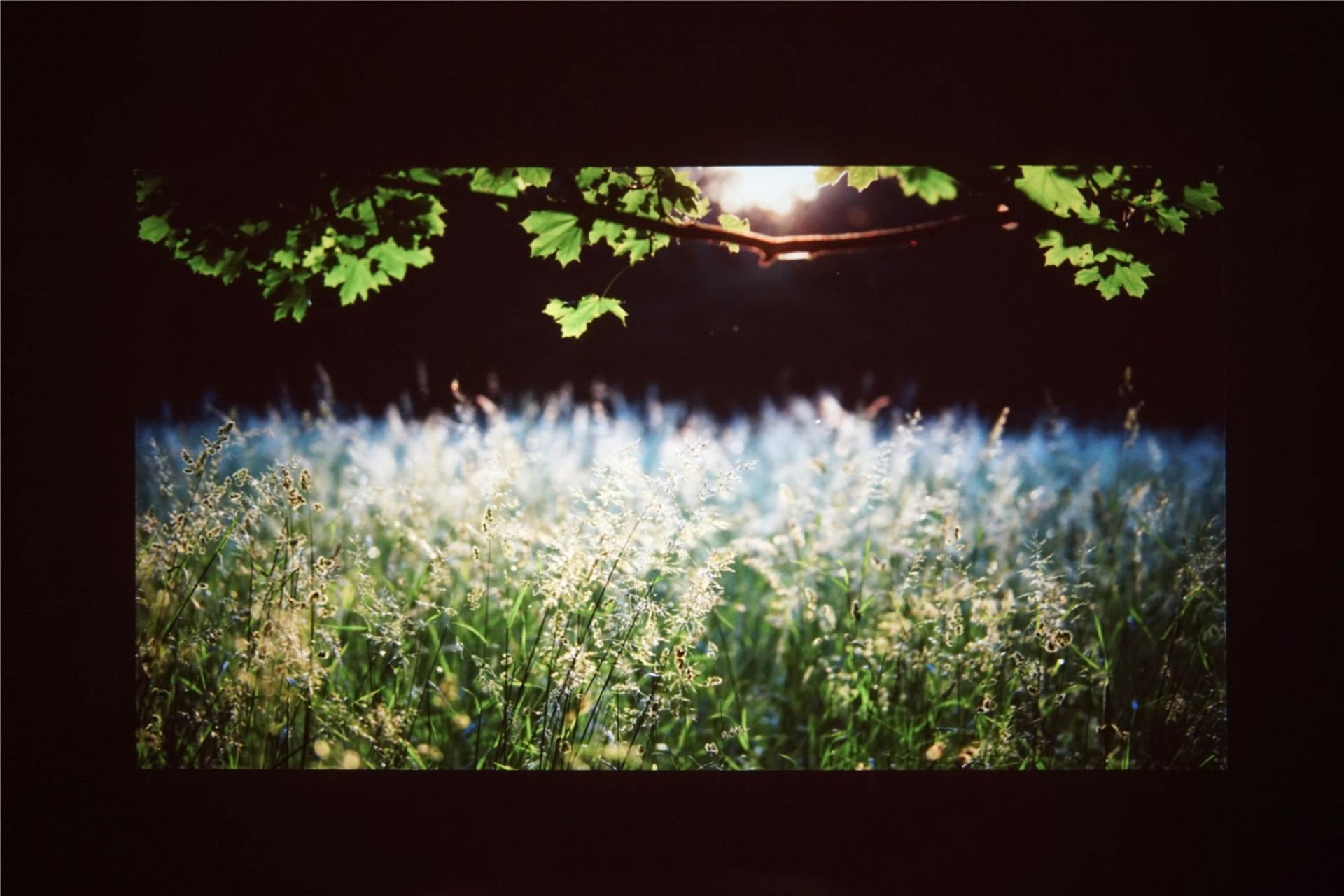 千元以上的投影仪好用吗,千元投影仪有哪些是真1080p的