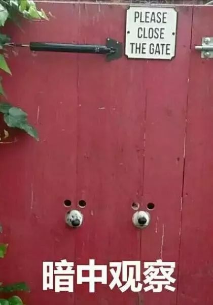 连退个押金都要靠薛定谔的返现了，还有什么办法避过消费主义深坑