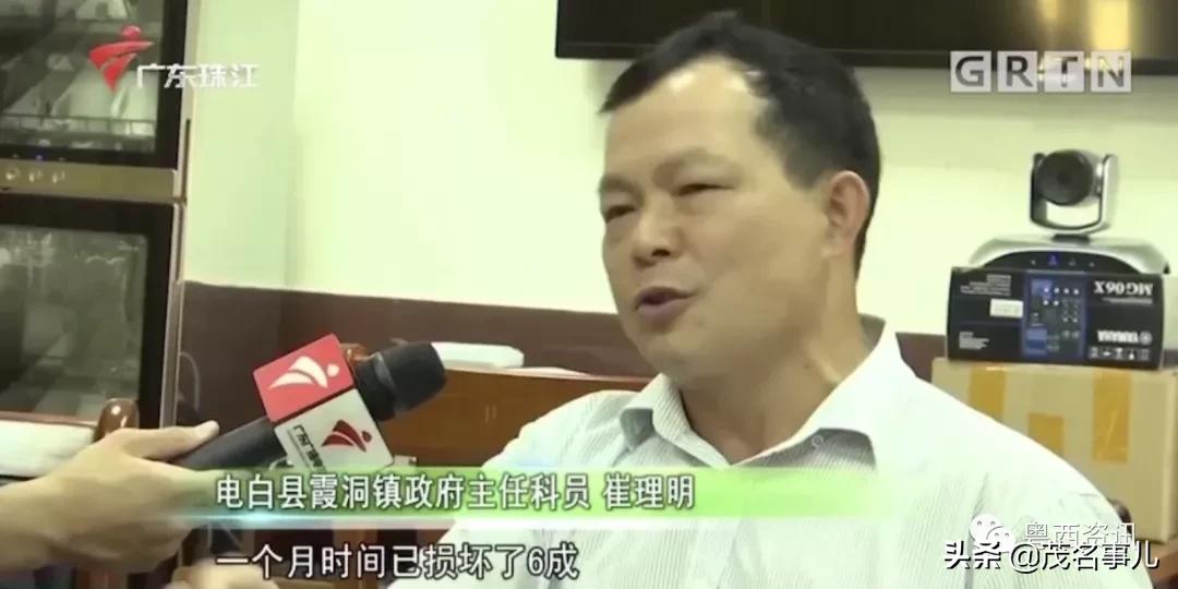 茂名十大美丽乡村电白,茂名电白乡村风光