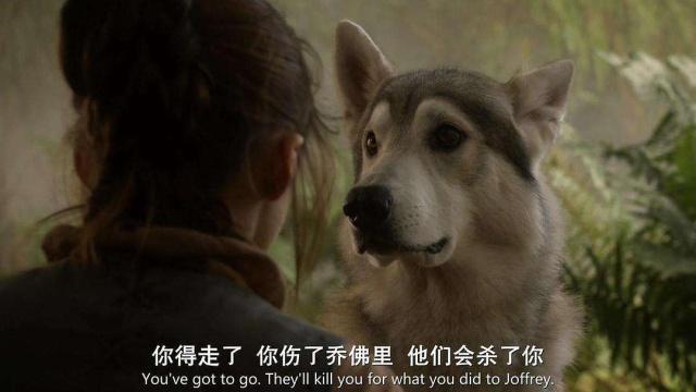 权力的游戏红袍女巫跟雪诺,冰原狼雪诺与白灵完整版