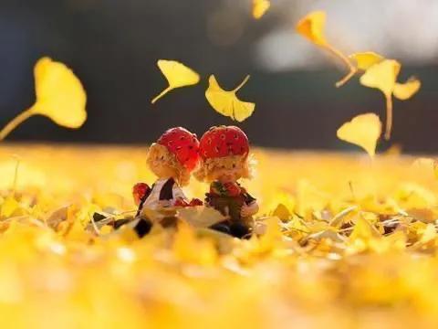 密友解除会有什么影响,密友解除自己还能恢复吗