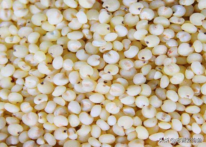 诱鱼简单窝料配方大全图解,诱鱼简单窝料配方制作方法