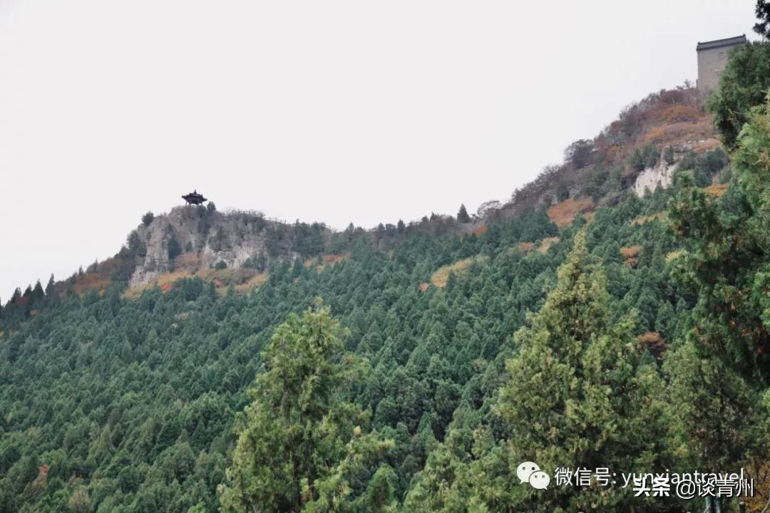 青州蜜三刀在哪,青州一个人去什么地方玩