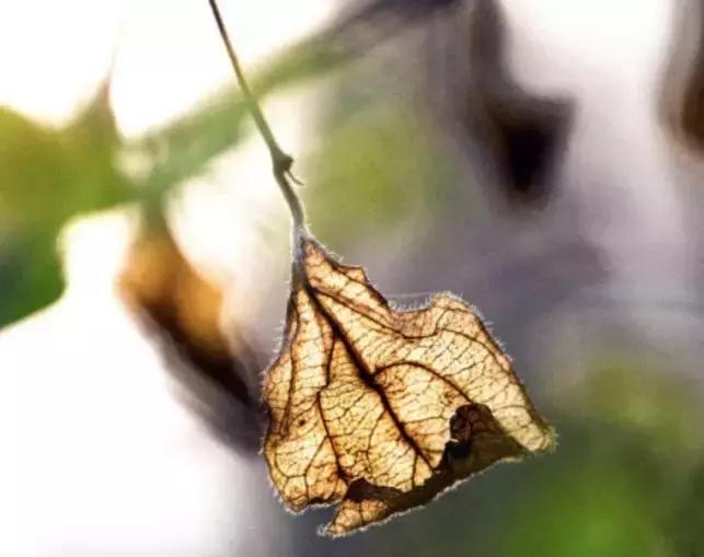 最有价值的中国汉字50个,10个最内涵汉字道尽人生真谛经典