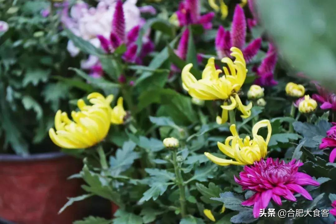 <html>
<head><title>502BadGateway</title></head>
<body>
<center><h1>502BadGateway</h1></center>
<hr><center>nginx</center>
</body>
</html>
<!--apaddingtodisableMSIEandChromefriendlyerrorpage-->
<!--apaddingtodisableMSIEandChromefriendlyerrorpage-->
<!--apaddingtodisableMSIEandChromefriendlyerrorpage-->
<!--apaddingtodisableMSIEandChromefriendlyerrorpage-->
<!--apaddingtodisableMSIEandChromefriendlyerrorpage-->
<!--apaddingtodisableMSIEandChromefriendlyerrorpage-->
