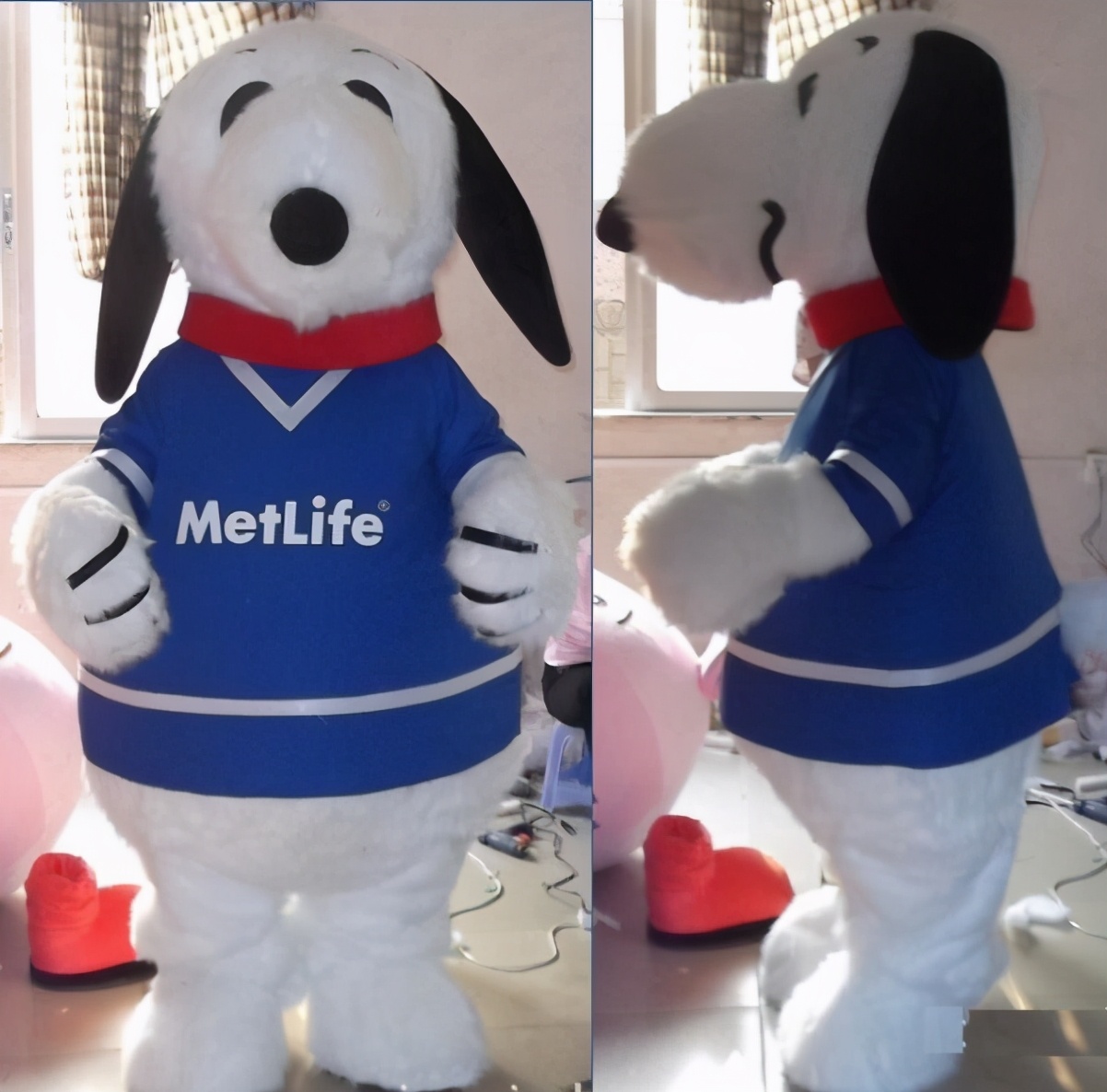 囚犯越狱失败,逃不掉的监狱