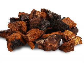 来自俄罗斯的神奇宝贝桦树茸,cctv7报道桦树茸