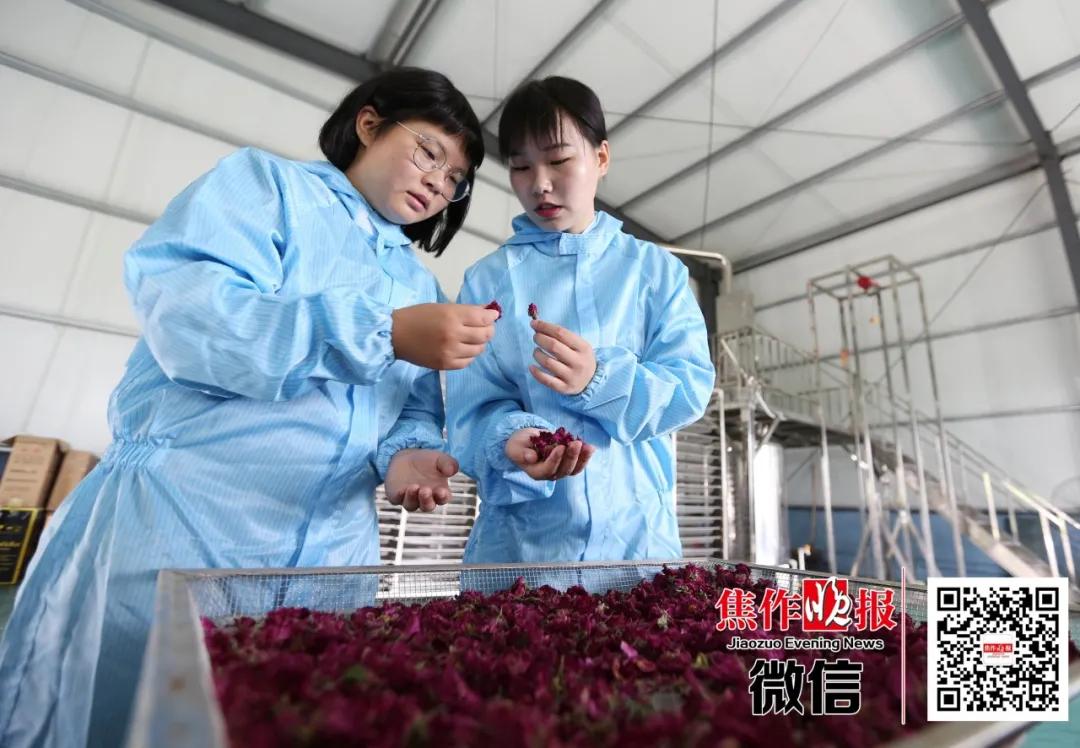 带领团队，逆风飞翔！看河南理工大这位20岁姑娘的创业路……