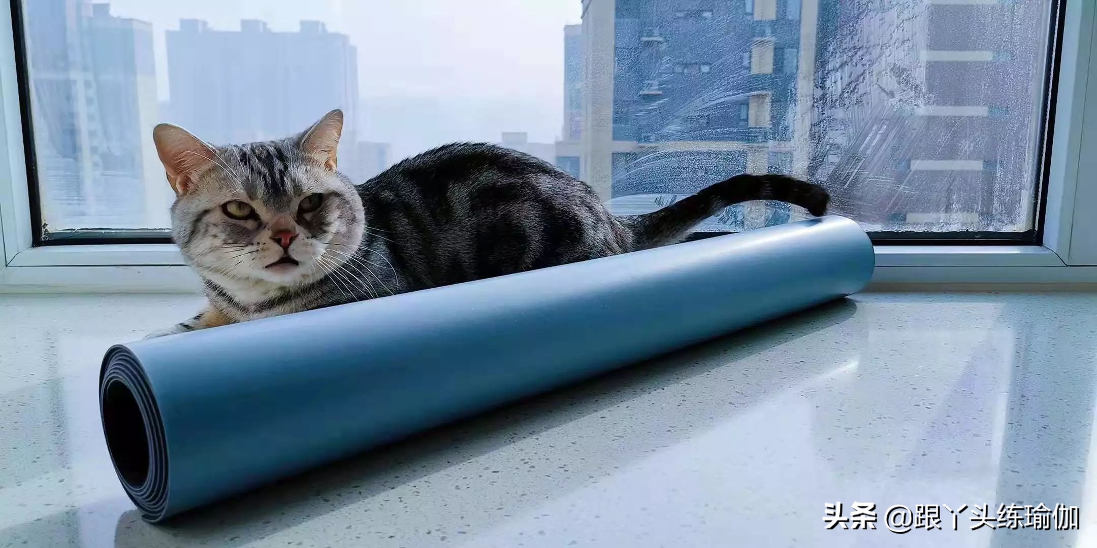 天然橡胶瑜伽垫的保养,天然橡胶瑜伽垫怎么擦