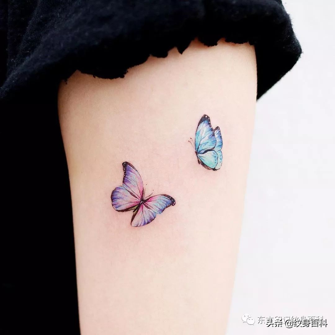 蝴蝶纹身图案代表什么,代表自由的蝴蝶纹身