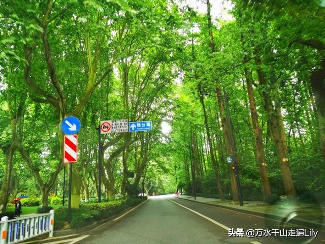 杭州不为人知的世外桃源,杭州幽静的去处