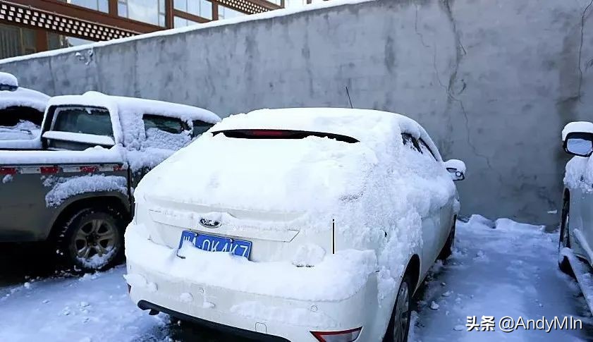 挖10万元1斤的虫草,却买不起一个玩具|高原孩子的残酷童年