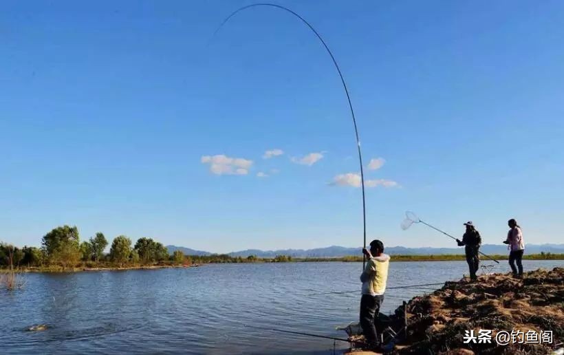 野钓老是脱钩用什么类型的鱼钩,野钓时常有鱼脱钩的原因是什么