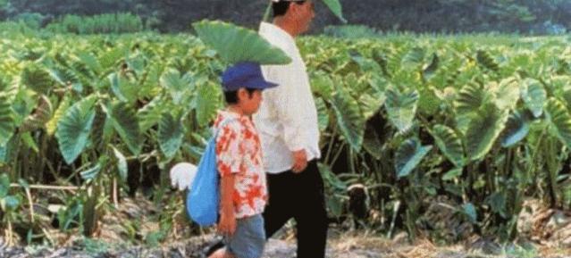 宅在家里做什么合适,适合居家生活的电影推荐