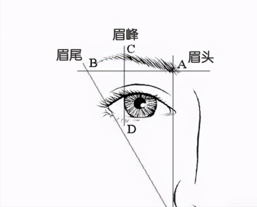 无眉星人画眉需要什么工具,无眉大侠教你画眉超级简单