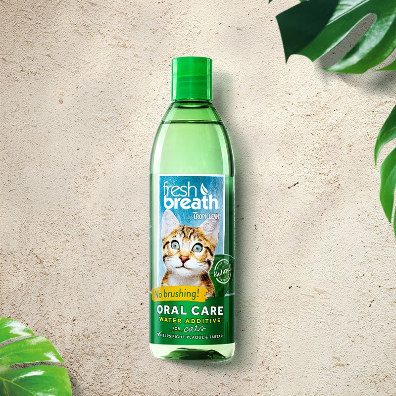 猫咪换牙期牙龈会红肿出血吗,猫咪换牙五个月口臭用什么好