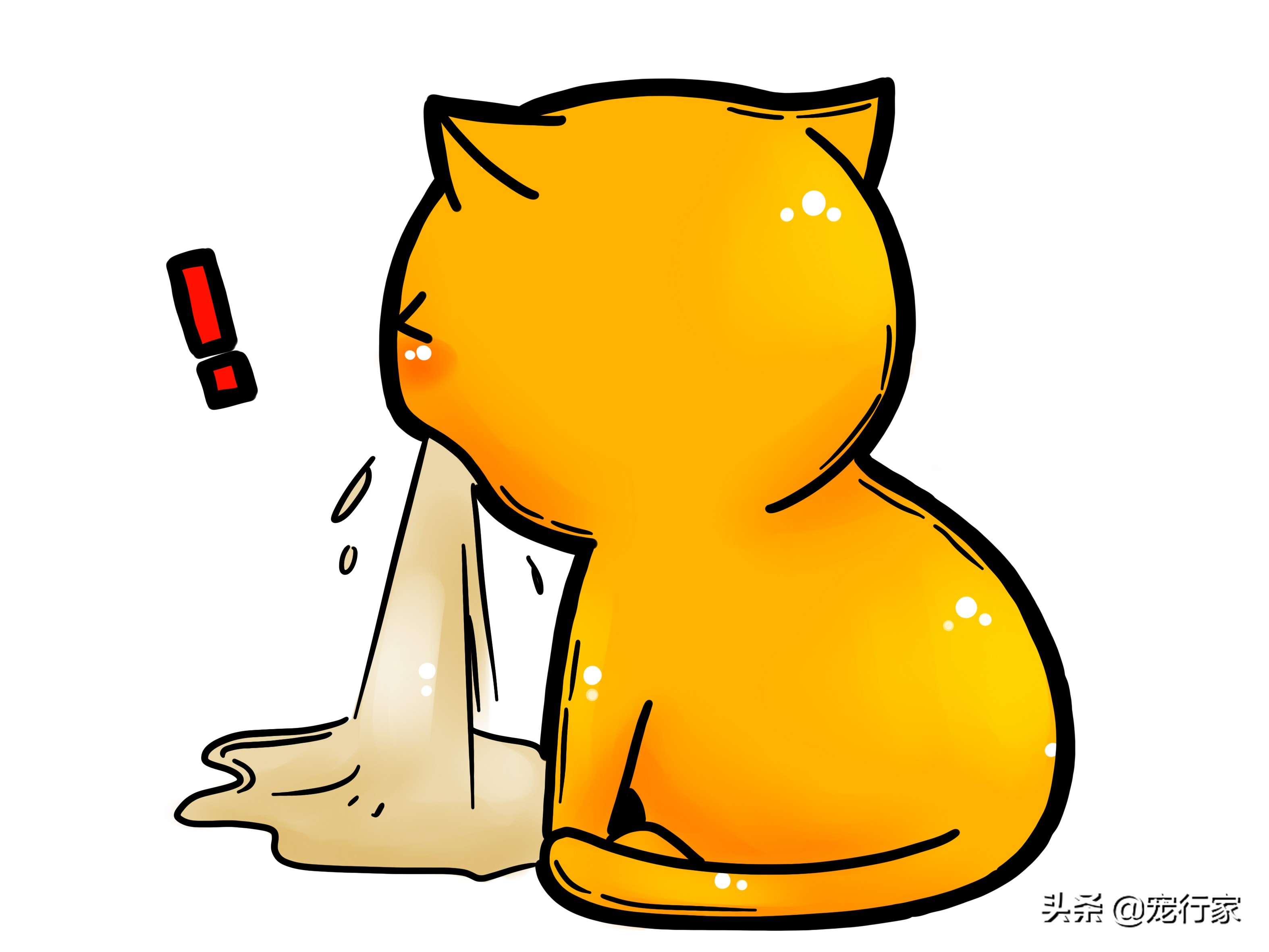 猫为什么会呕吐？如果我家猫呕吐了，我该怎么办？