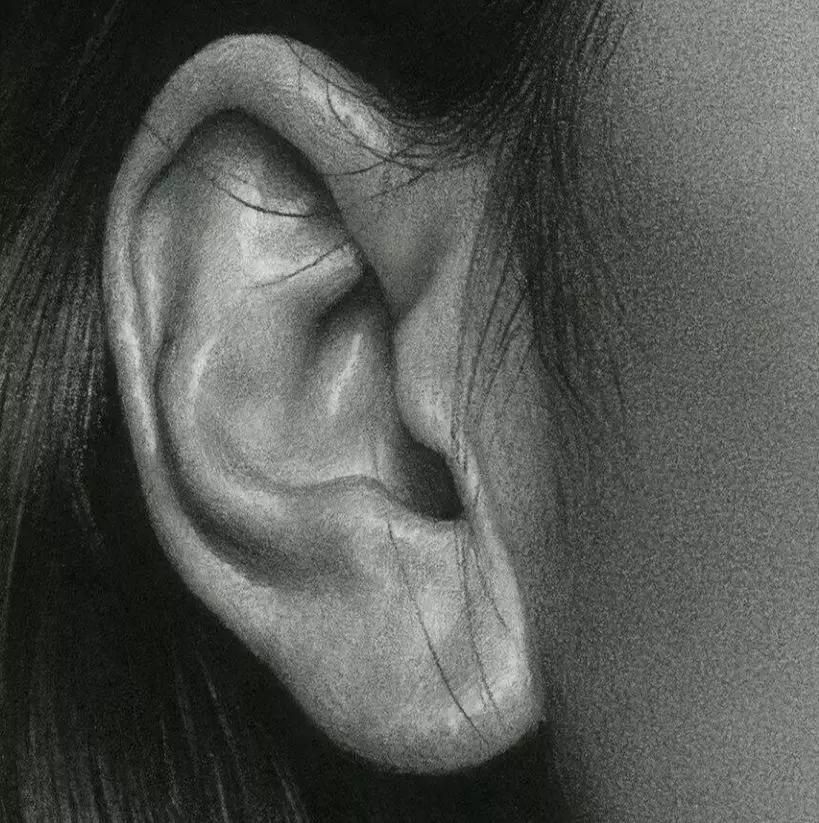 同一支炭笔，为啥人家可以吃透素描结构和质感，看完这一波你也行