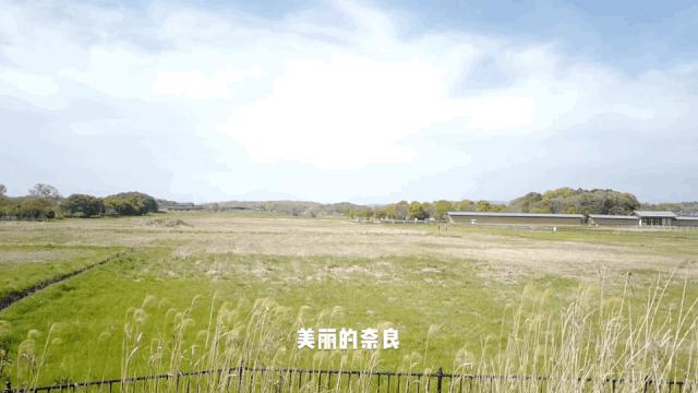 超级妈妈带娃日常生活,超级妈妈带5个孩子