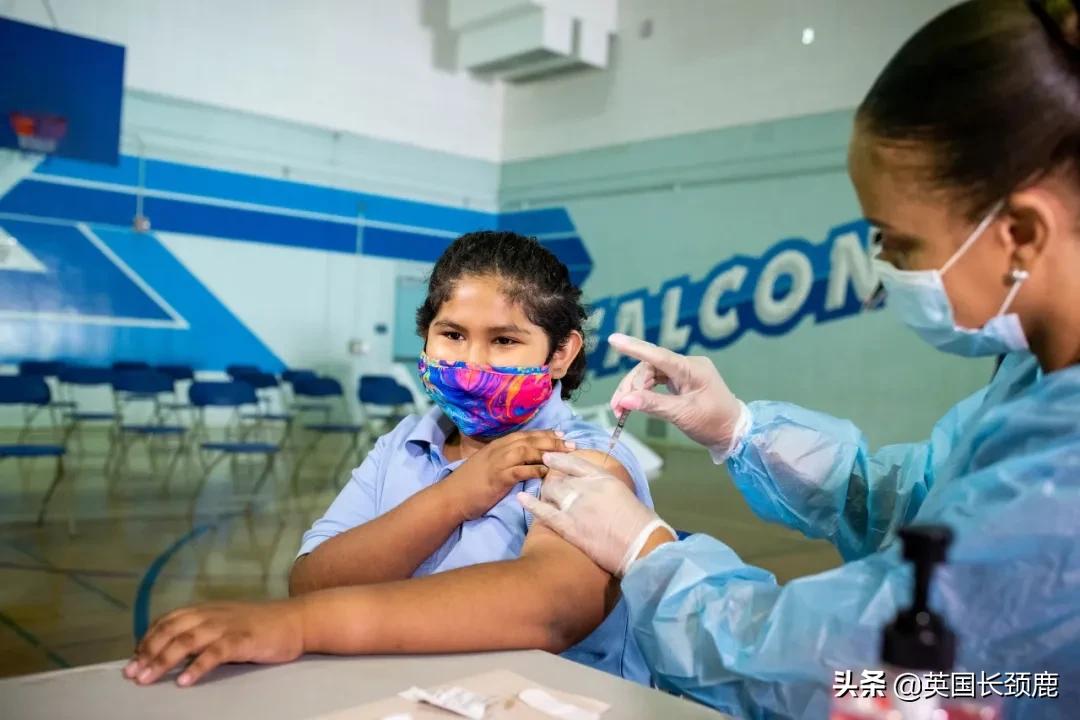 英国最大华人物流公司疑似破产！伦敦马拉松时隔两年再回归