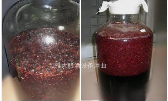 受疫情影响桑葚无人问津，雅大烤酒设备教您足不出户酿美酒