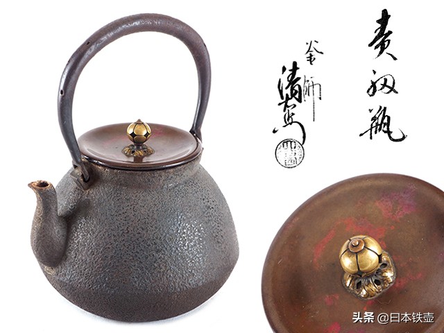 如何挑选铁壶,日本明治时期龙文堂铁壶