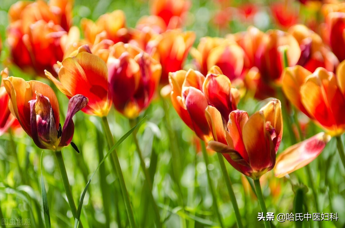 35的女性怀孕风险大吗,女人35停经意味着什么