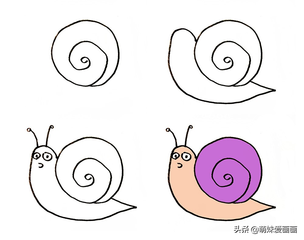蜗牛生活在什么地方简笔画,蜗牛的简笔画大全简单又漂亮