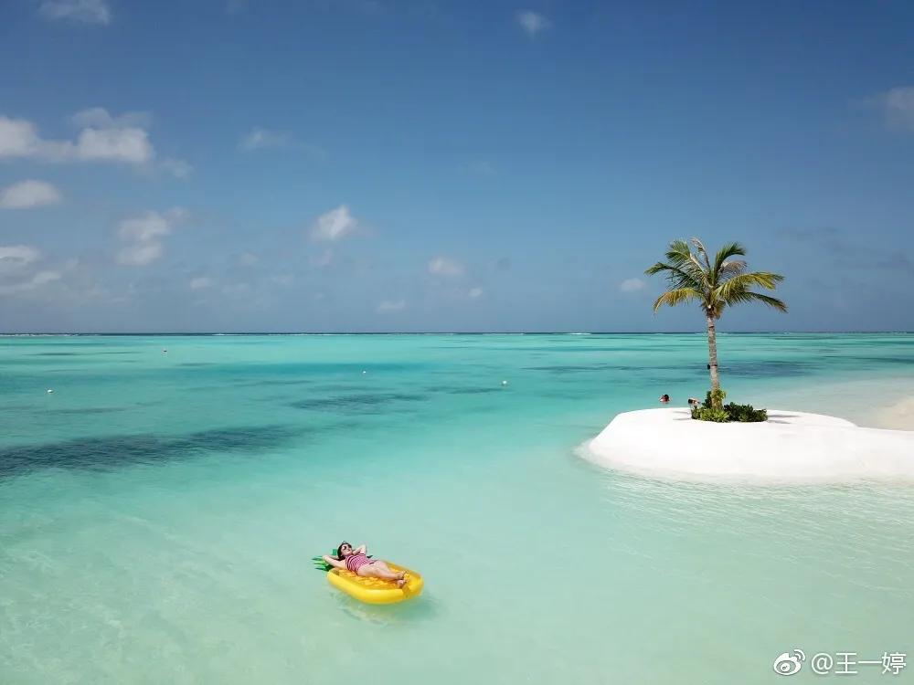 「早晚要认识」帅气逼人的国脚杨旭和他美艳女主持太太